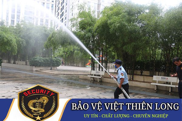 Thuê dịch vụ Ku casino - Bình Dương uy tín chuyên nghiệp 24/24